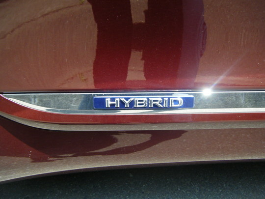 DSCF0373.JPG