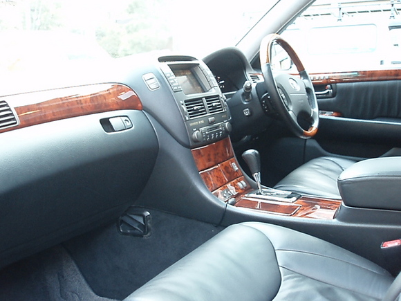 PA230781.JPG